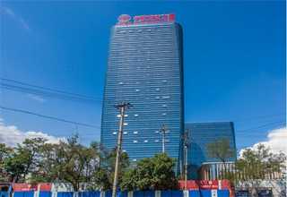 资阳组培苗蓝莓苗报价