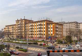 河南BX1213削片机公司